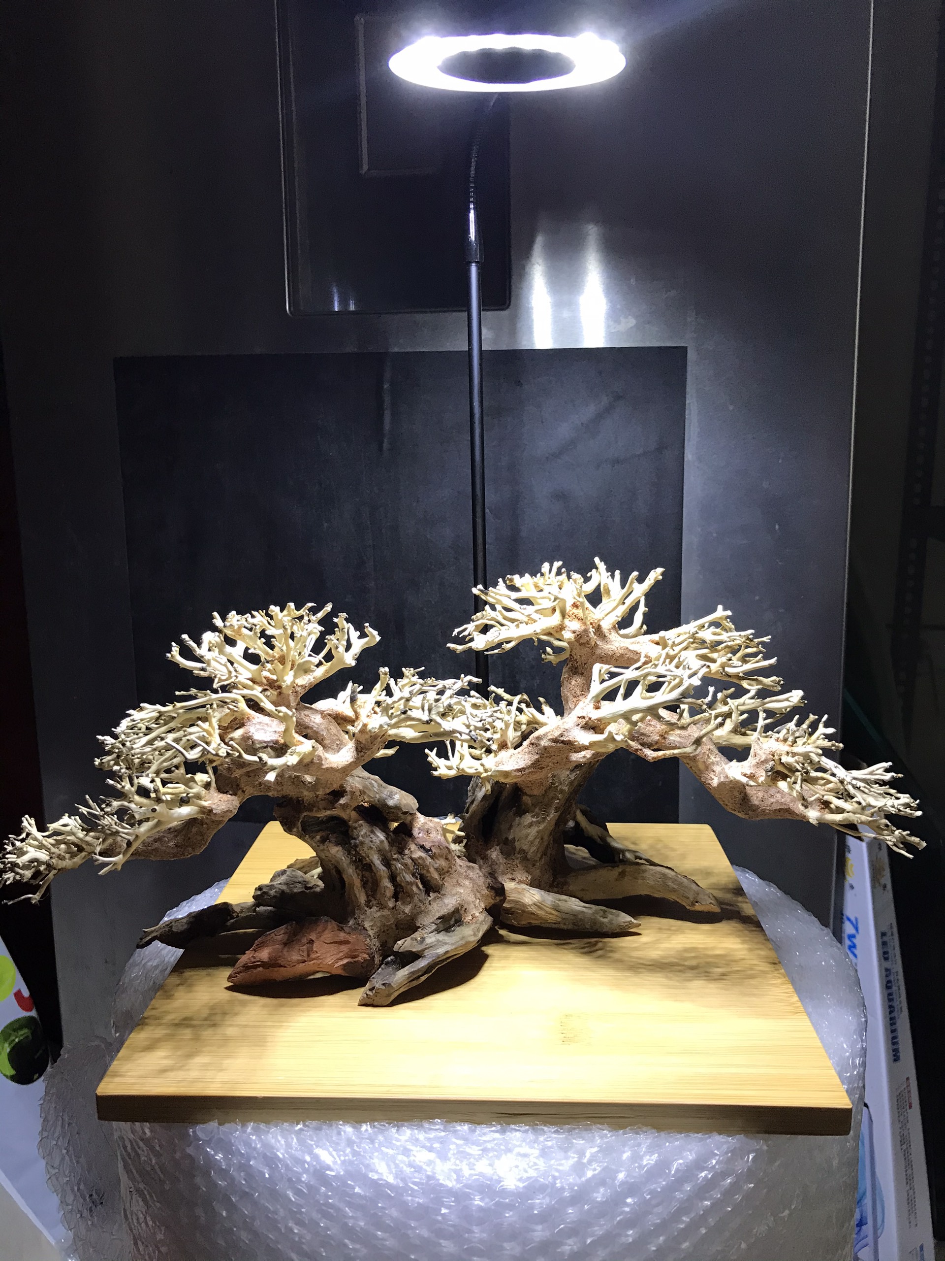Lũa Bonsai Trang Trí Bể Thủy Sinh - Bể Cá Cảnh 20x15cm