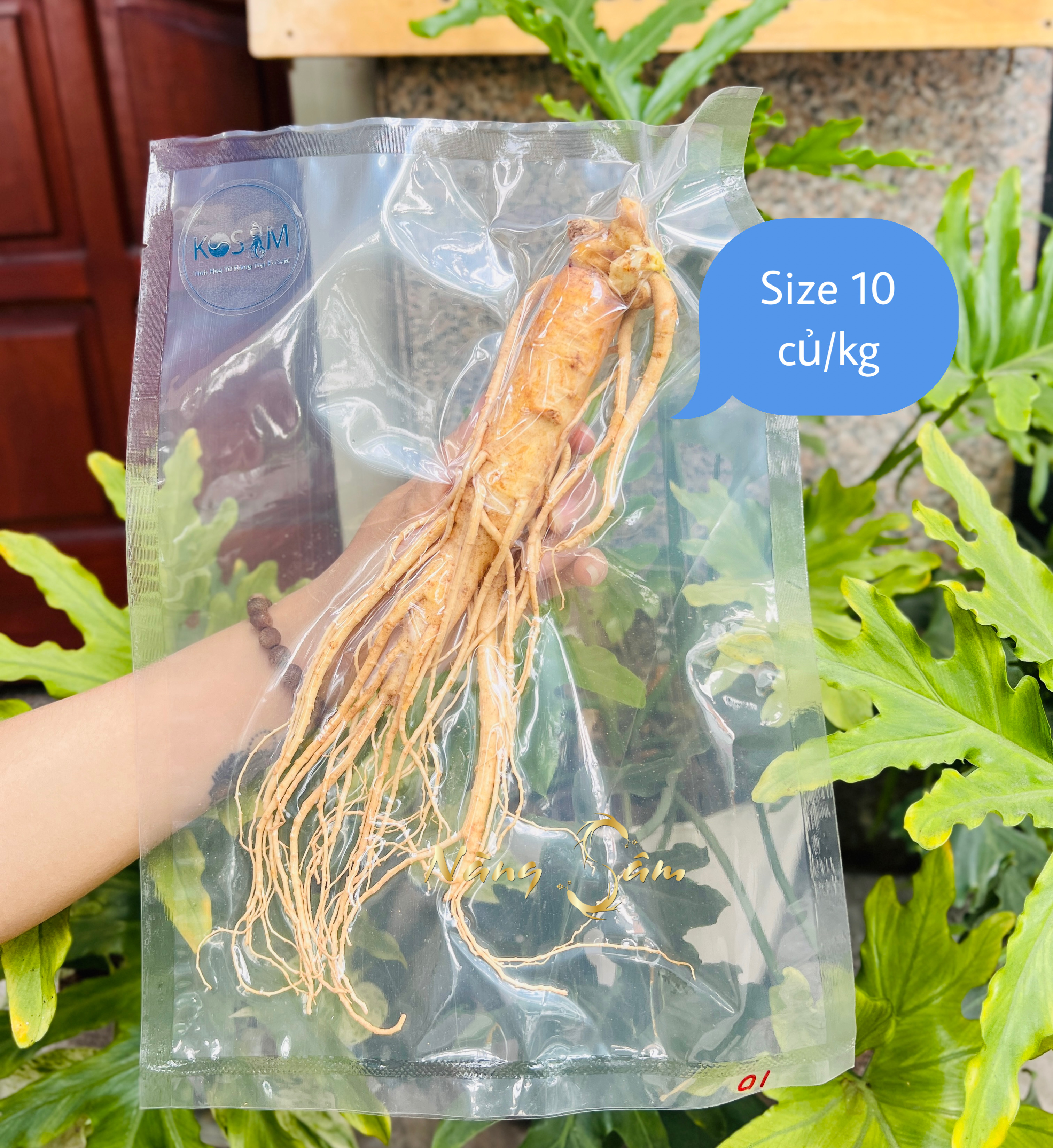 1 Củ Nhân Sâm Tươi Hàn Quốc Size 10 Củ/Kg, 1 củ 100gram