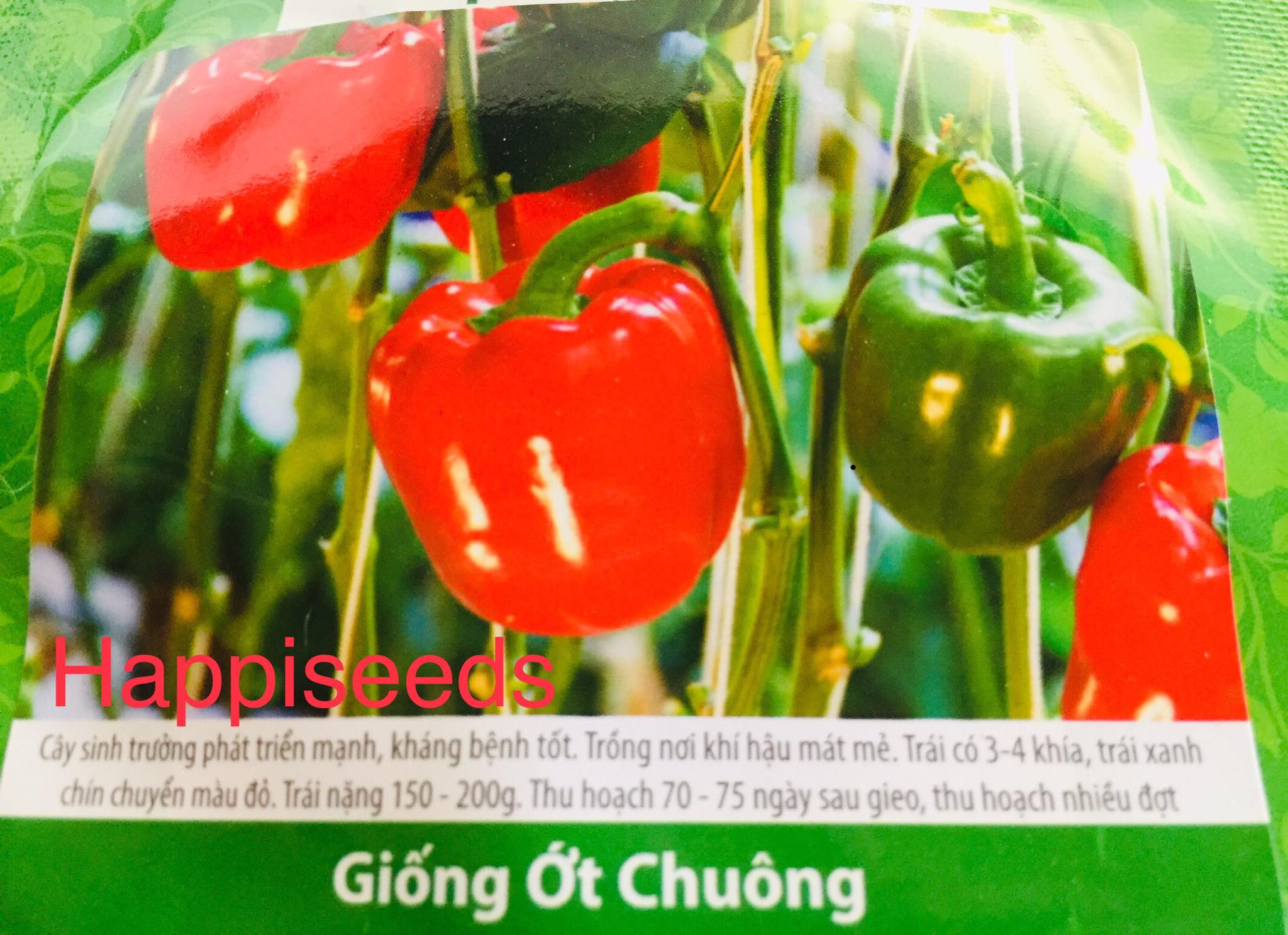 HẠT GIỐNG ỚT CHUÔNG ĐỎ GÓI 0.5GR