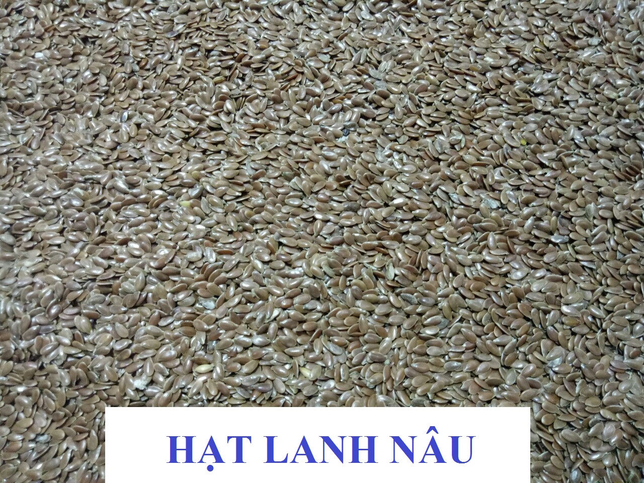 100G HẠT LANH NÂU (ẤN ĐỘ)