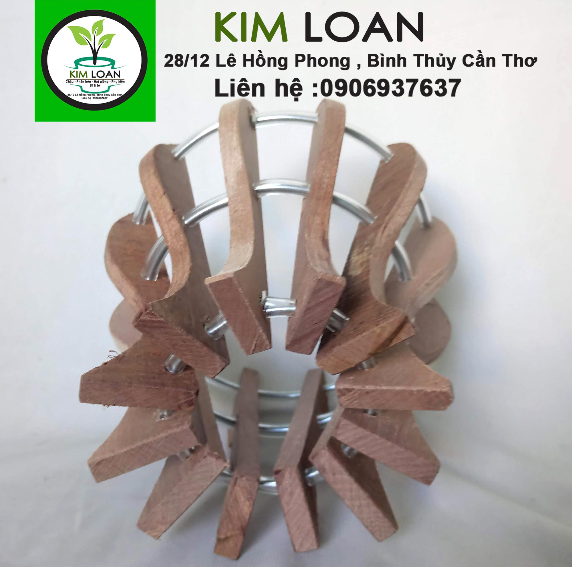 Combo 2 chậu lan gỗ hình ly 18x18cm