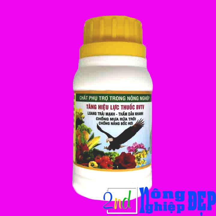 Lưu Dẫn Đại Bàng -Thấm Dẫn Nhanh