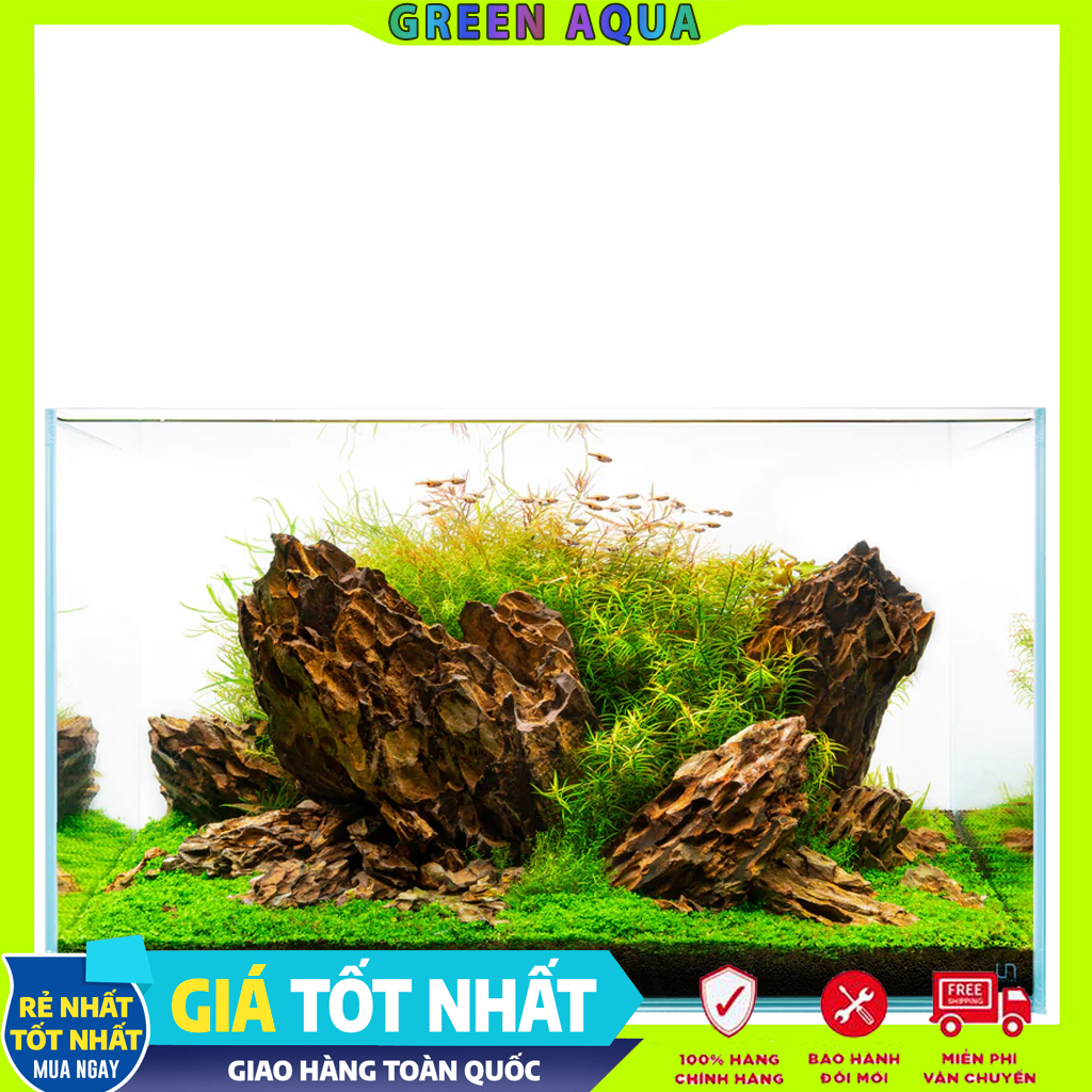 Dragon Stone | Đá Tiger setup Layout hồ cá thủy sinh, trang trí tiểu cảnh bonsai, hồ bán cạn