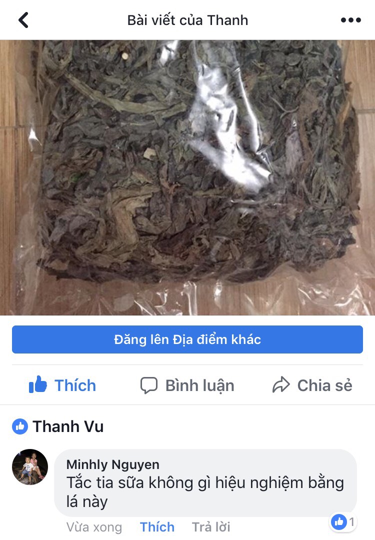 Lá cây Bồ Công Anh