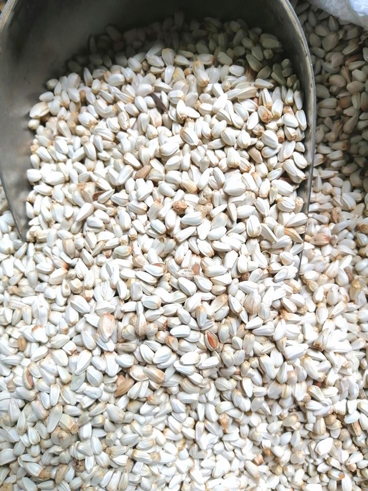 [HCM]Hạt Kham dành cho thú cưng (1kg) - Pet Food Store.