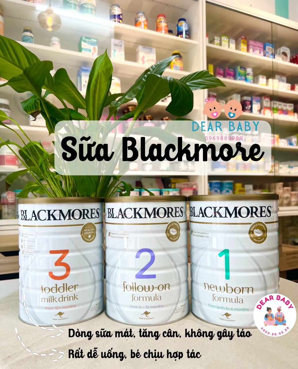 Sữa BLACKMORE 900gr số 1,2,3 hàng của Úc