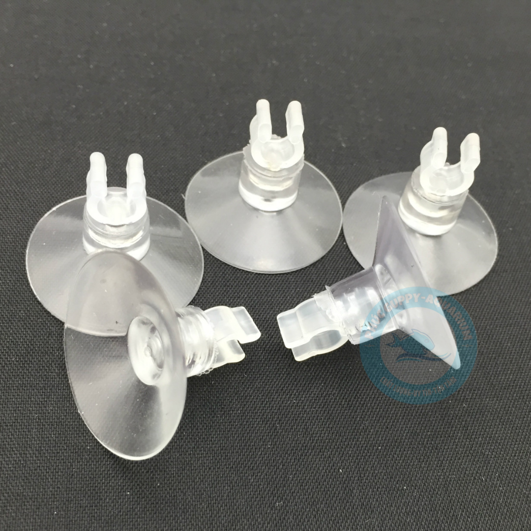 Hít Kính Giữ Dây Sủi Oxy, Dây CO2 Cho Hồ Cá, Hồ Thuỷ Sinh