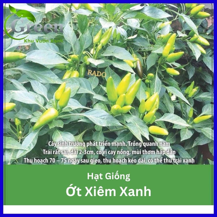 Hạt Giống Ớt Xiêm Cay Thơm Dễ Trồng