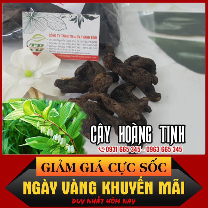 Cây hoàng tinh khô 500g hàng cty - thảo dược thanh bình