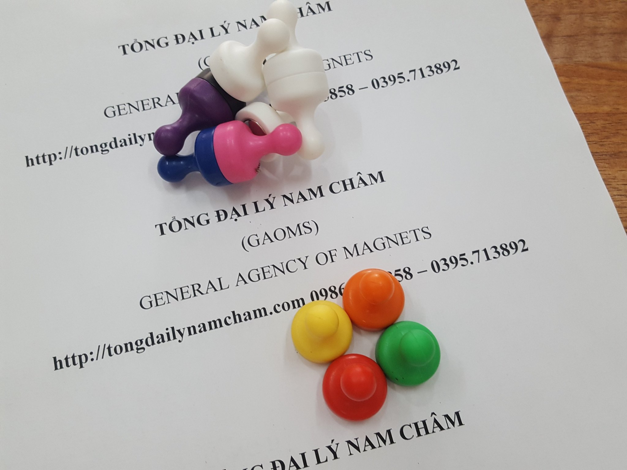 Nam châm đính bảng hình quân cờ, D19mm- 5 cái