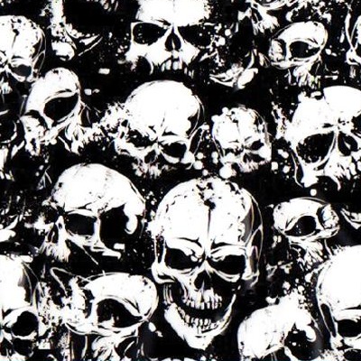 Film chuyển nước WFD043 đầu lâu đen - sơn samurai