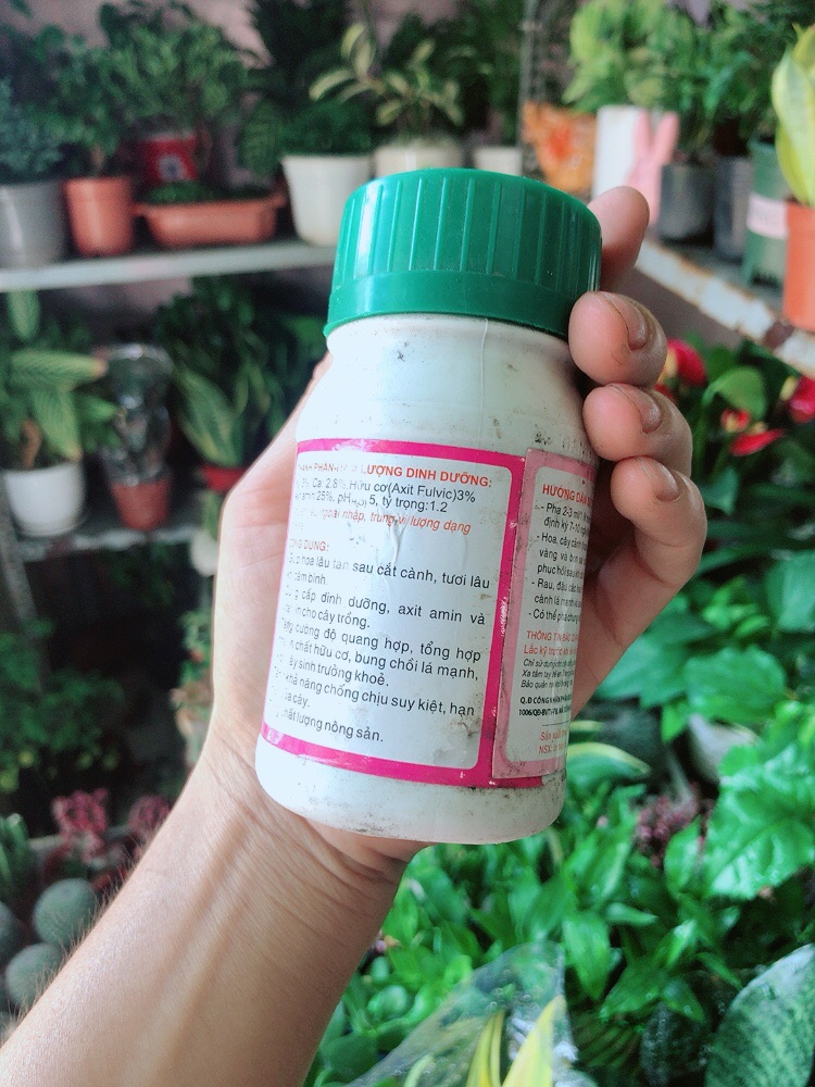 [HCM]Phân Bón Lá Đạm Sinh Học
