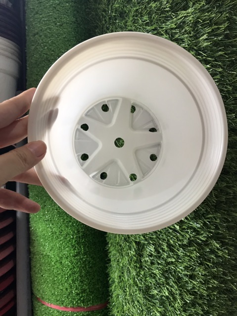 Combo 50 Chậu Nhựa Trồng Cây 19*14