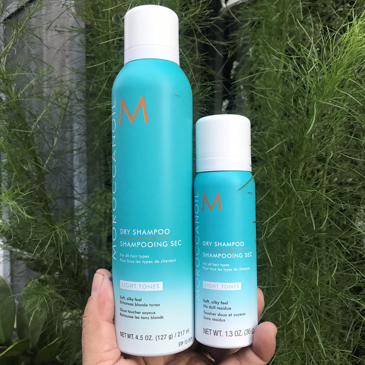 [HCM]COMBO Dầu gội khô Dry Shampoo Moroccanoil Light Tones 217ml + 65ML tông sáng