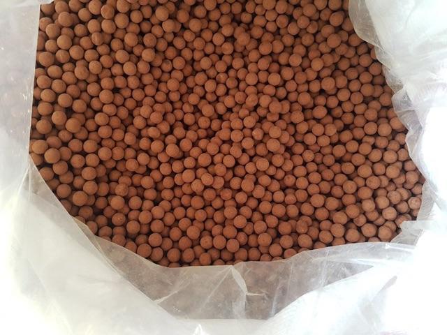 [HCM]500gr viên mầm cacao
