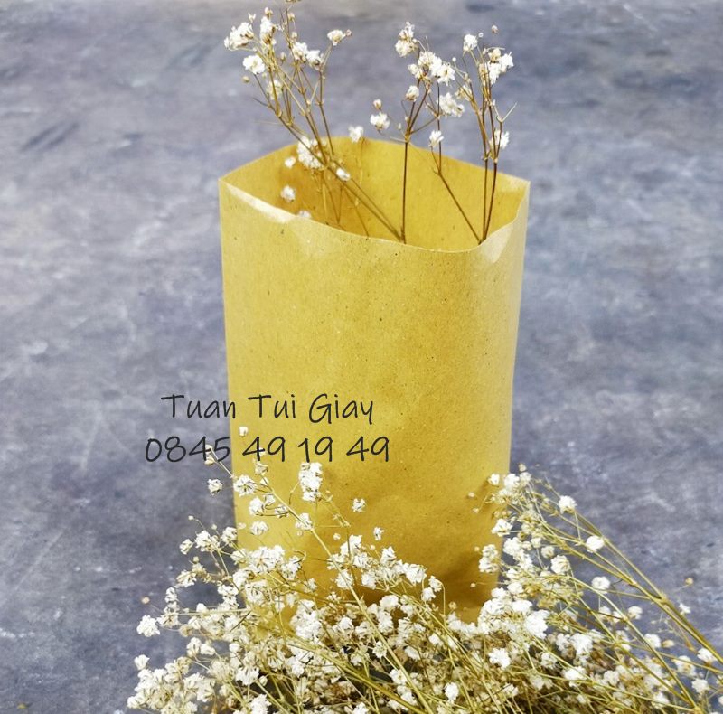 100c Túi giấy vàng 15x20
