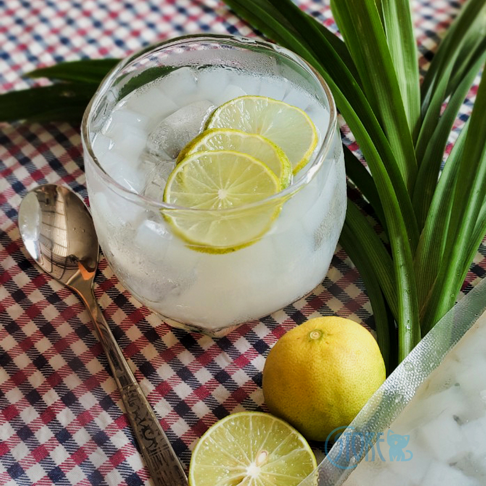 Thạch Dừa Coco Jelly - HTK( thạch dừa không quá ngọt, giòn giòn dai dai)
