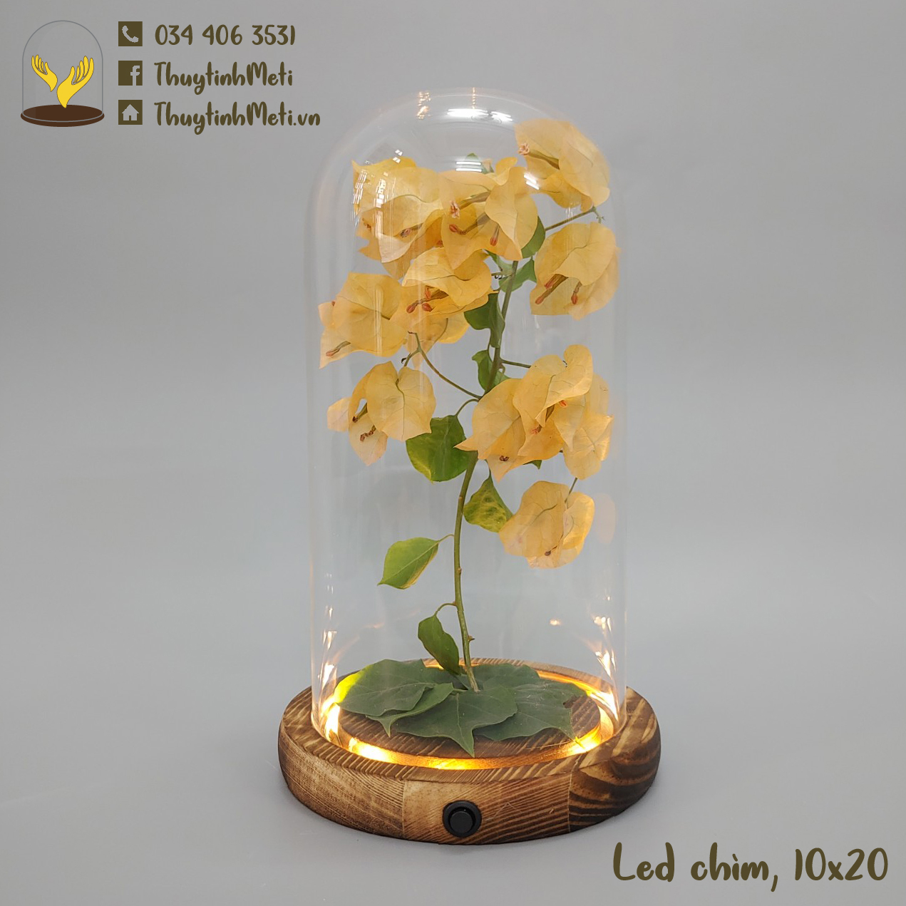 Glass dome with LED light, circle light string, 10cm diameter dome, battery included - ThuyTinhMeti.vn