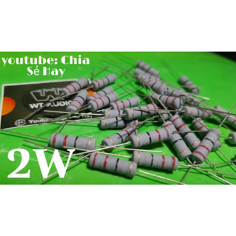 10 con Điện trở 22 ohm 2W
