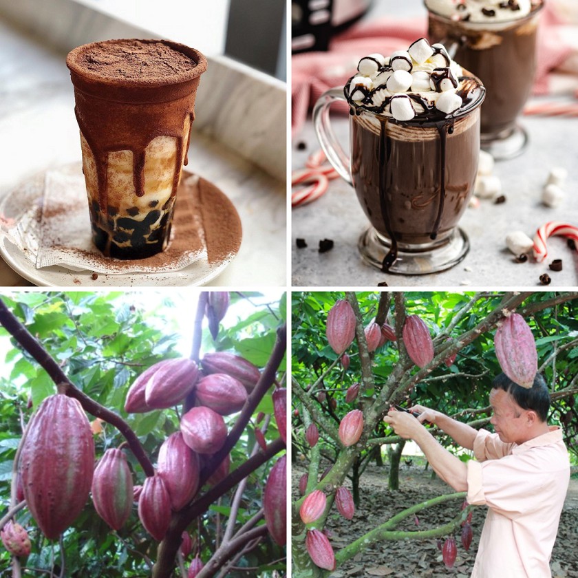 Bột Cacao Thượng Hạng DP Food 500g