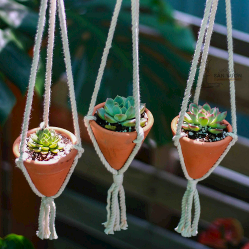 Combo 3 Chậu Treo Decor Gốm Đất Nung hình Bánh Ú ( Chóp Nón ) - Gốm Sứ Sân Vườn