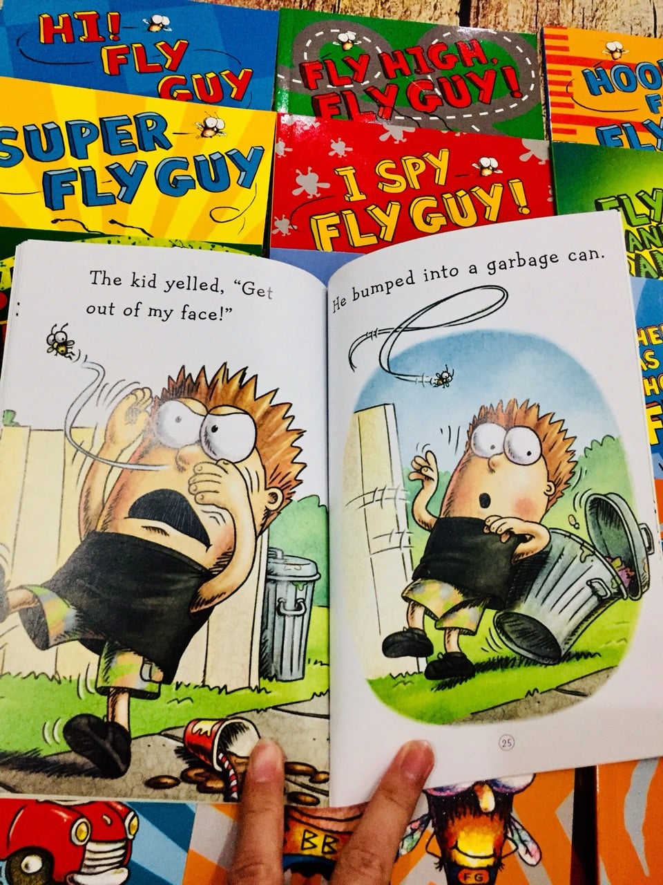Fly Guy