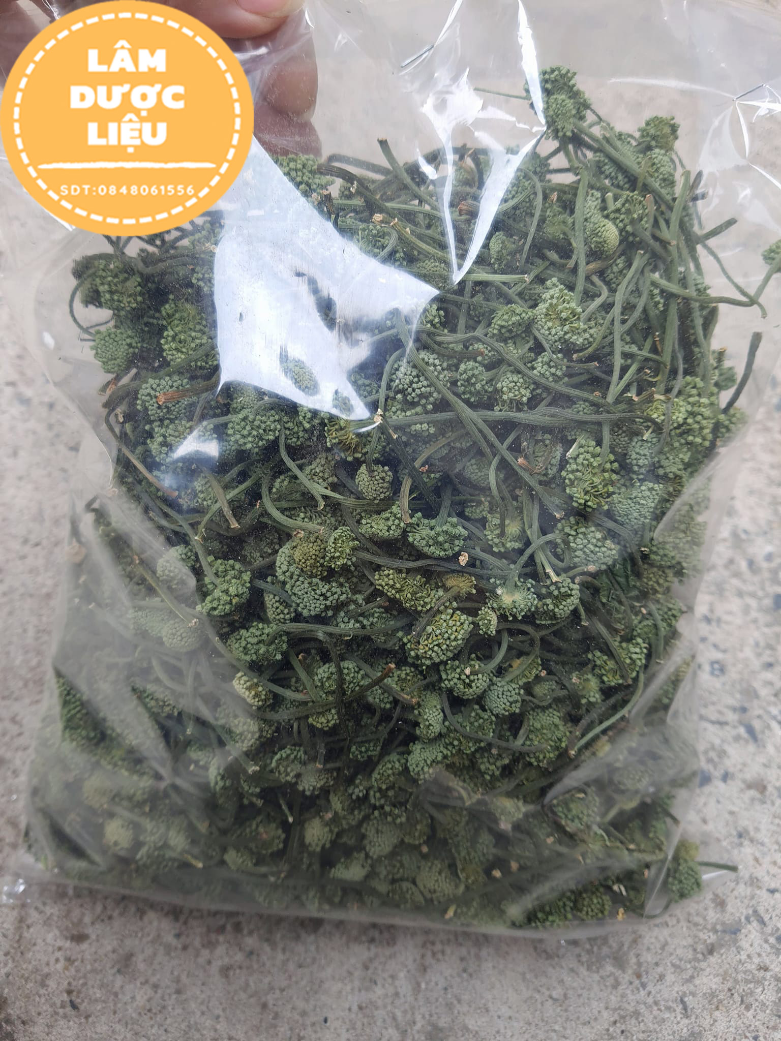 100gr Trà  Nụ Hoa Tam Thất Khô