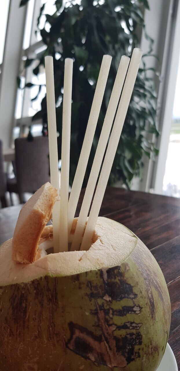 Ống hút gạo ( Túi 100 ống màu trắng)