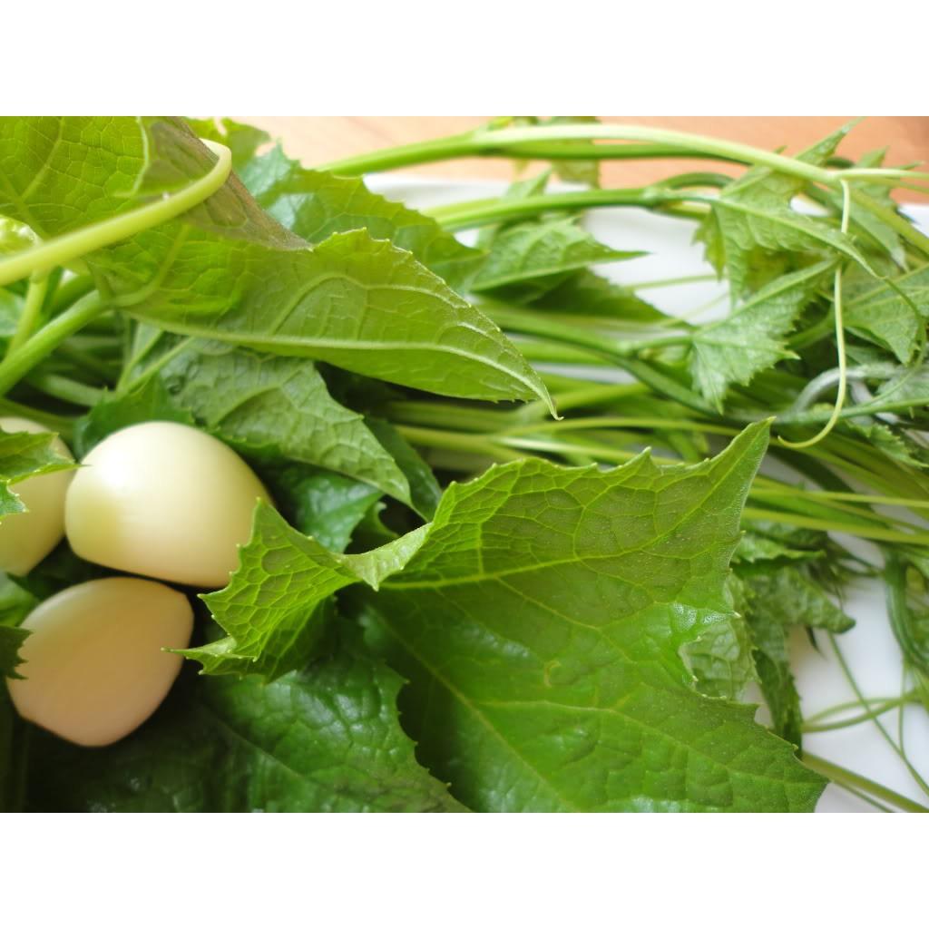 [HCM]Gói 2g hạt giống bầu ăn ngọn