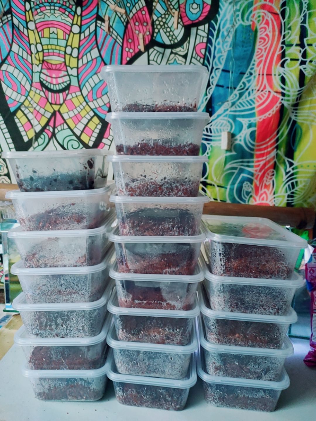 trùng chỉ trắng ( Grindal worm )