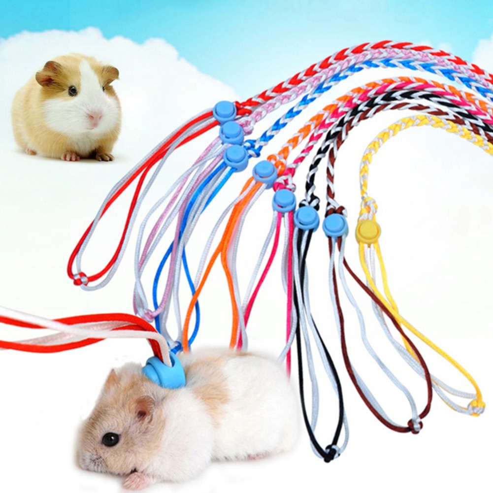 Dây dắt cho hamster