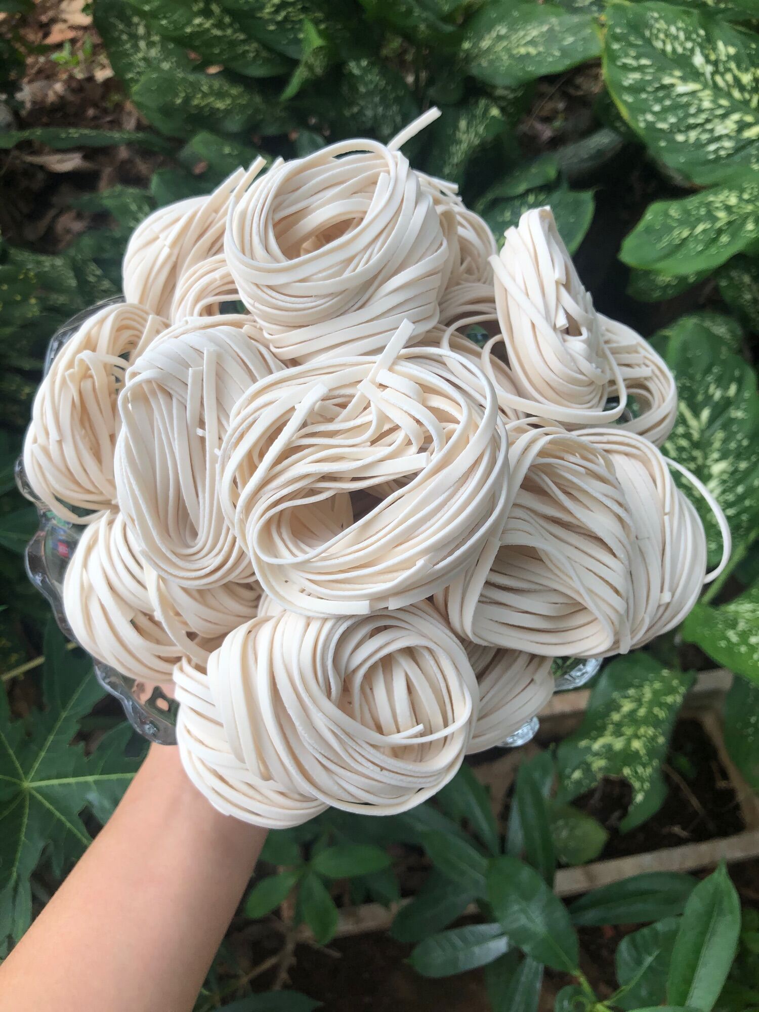 Bánh canh khô Huế đặc sản 0.5kg [Sẵn Hàng]
