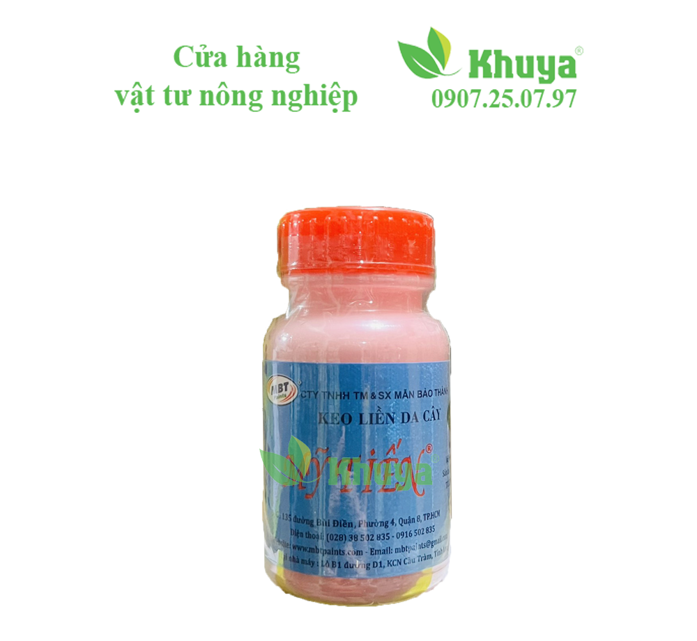 Keo liền da cây mỹ tiến 100ml