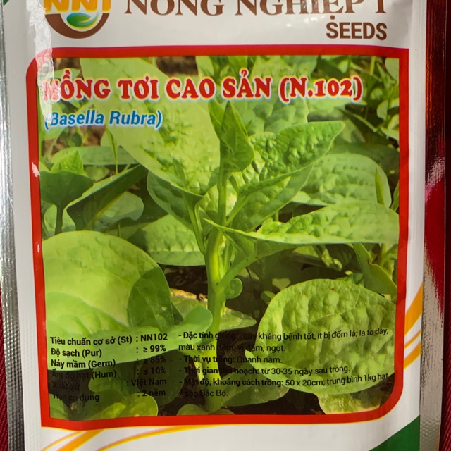 Hạt giống rau Mồng Tơi Cao Sản