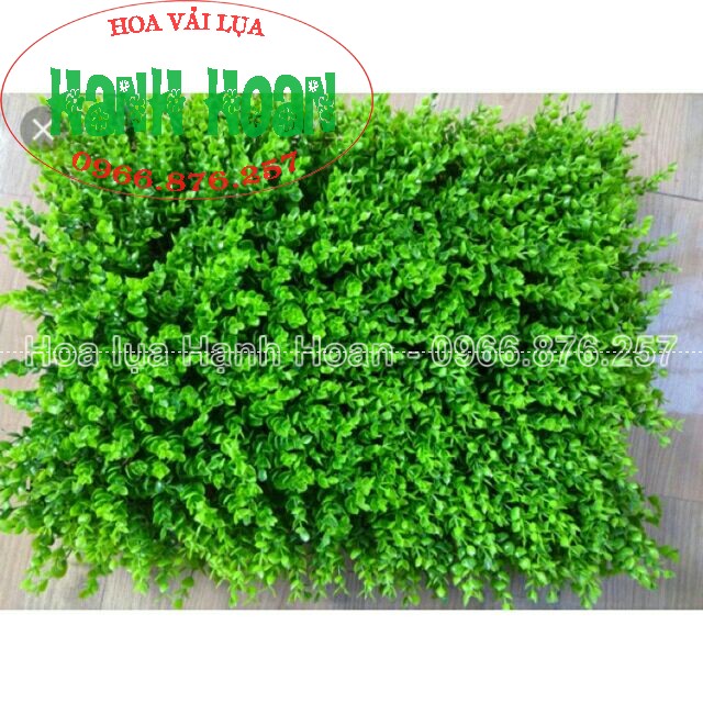Thảm cỏ nhân tạo - cỏ giả