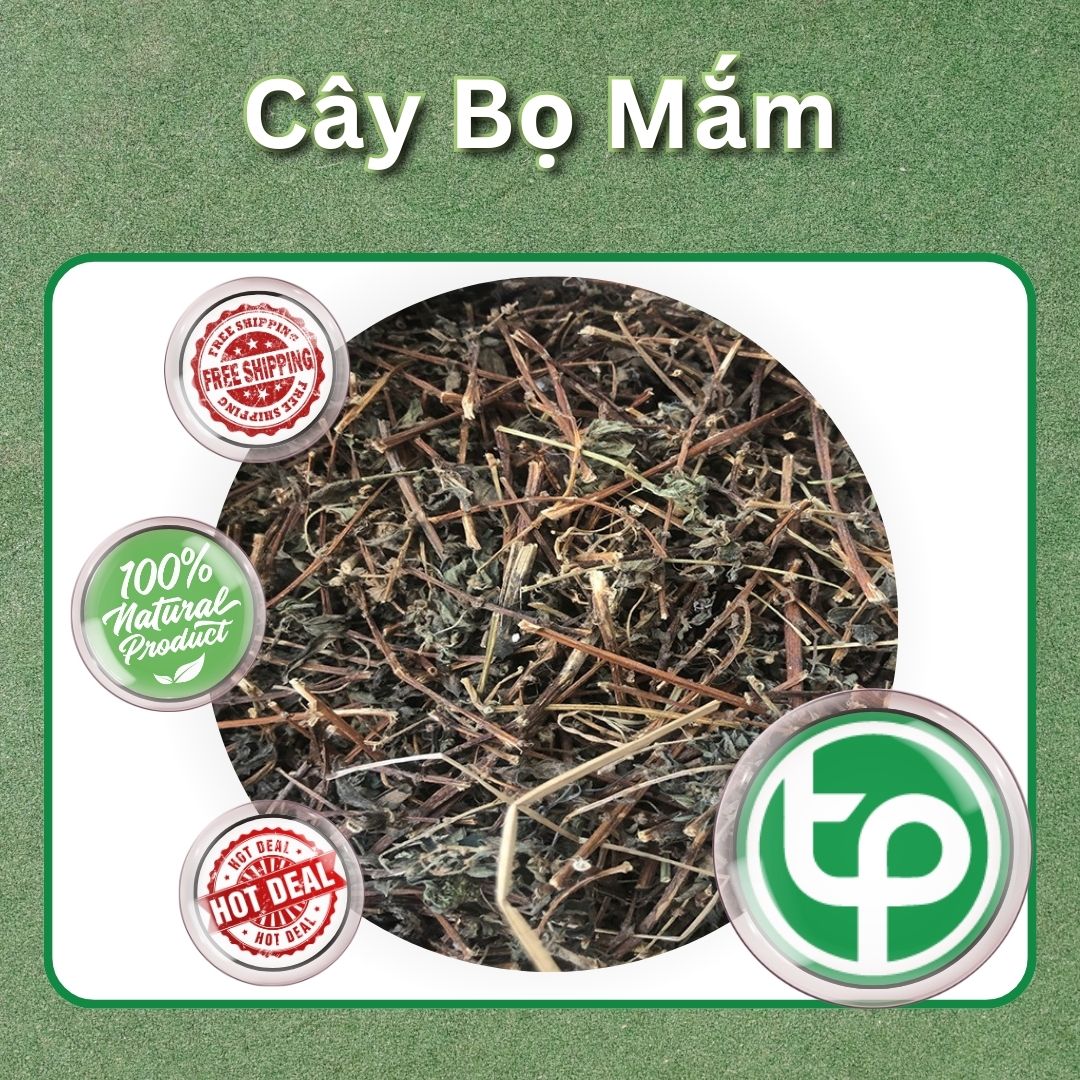 [Hàng Mới Về] Cây bọ mắm sấy khô túi lớn loại 500g - Taphaco