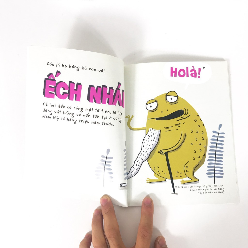 Sách - Những sinh vật í ẹ 10 cuốn (dành cho bé 5-9 tuổi)