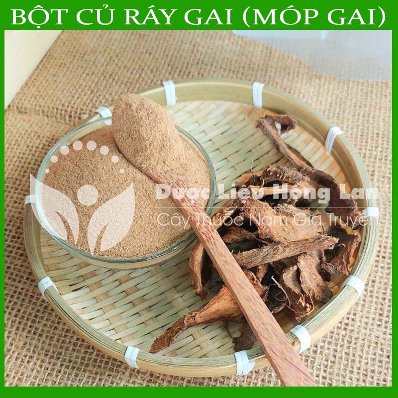 ✅[Thượng hạng] 500G Bột Củ Ráy Gai (Móp Gai) Nhu nguyên chất (không pha chộn tạp chất, đã sao thơm, không chất bảo quản)