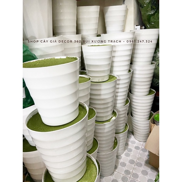 Combo Chậu trắng + xốp phủ rêu xanh