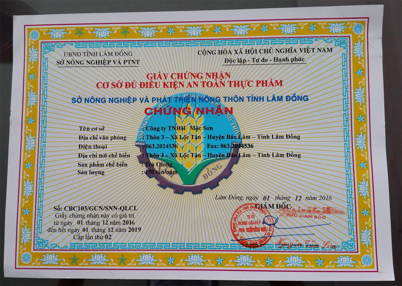 Trà Ôlong (Oolong) Sữa Thượng Hạng Mộc Sơn nguyên búp trà Olong được chọn lọc | Nước Trà sáng đep