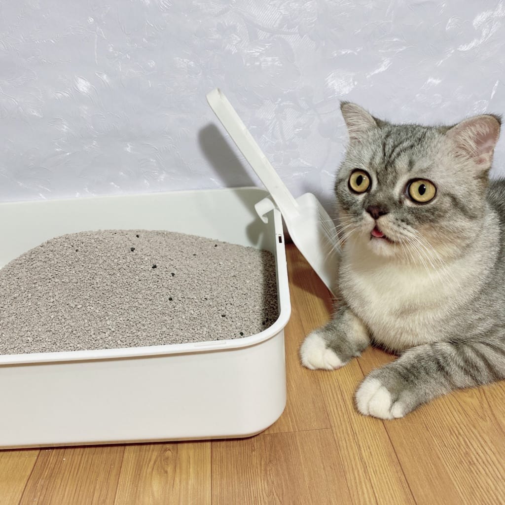 [18L] Cát vệ sinh cho mèo CATLIKE CAT LITTER cao cấp