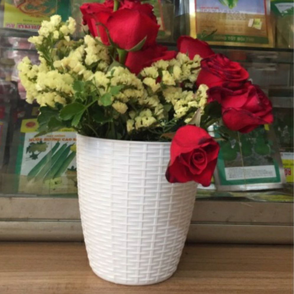 combo 2 chậu nhựa đan mây đk 13cm