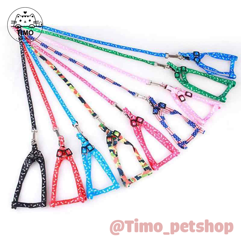 Dây Dắt Thú Cưng 1 Lớp