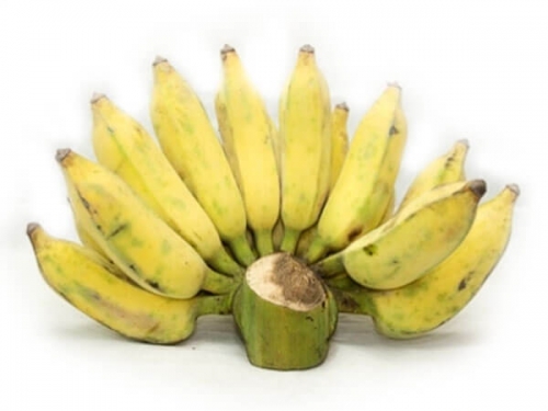 Chuối Sứ (1.2KG/Nải)