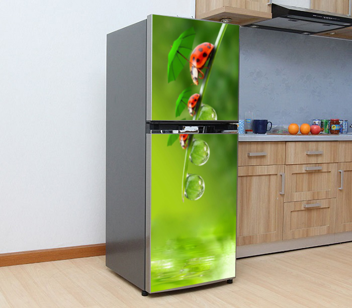 [HCM]Decal dán trang trí tủ lạnh Bọ cánh cam