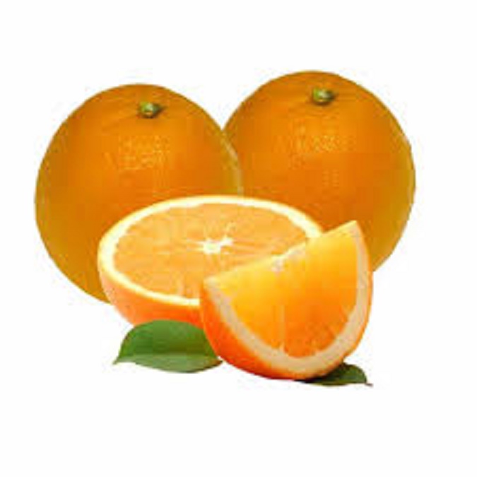 CÂY GIỐNG CAM Valencia- V2 SIÊU NGON SIÊU QUẢ