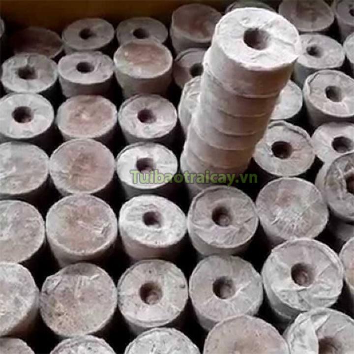 20 viên nén xơ dừa ươm hạt