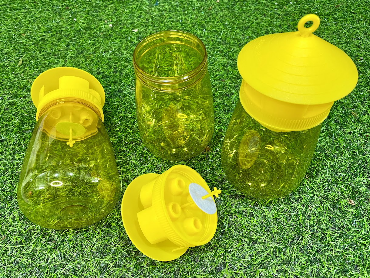 Bộ lồng bẫy ruồi vàng kèm chất dẫn dụ ruồi
