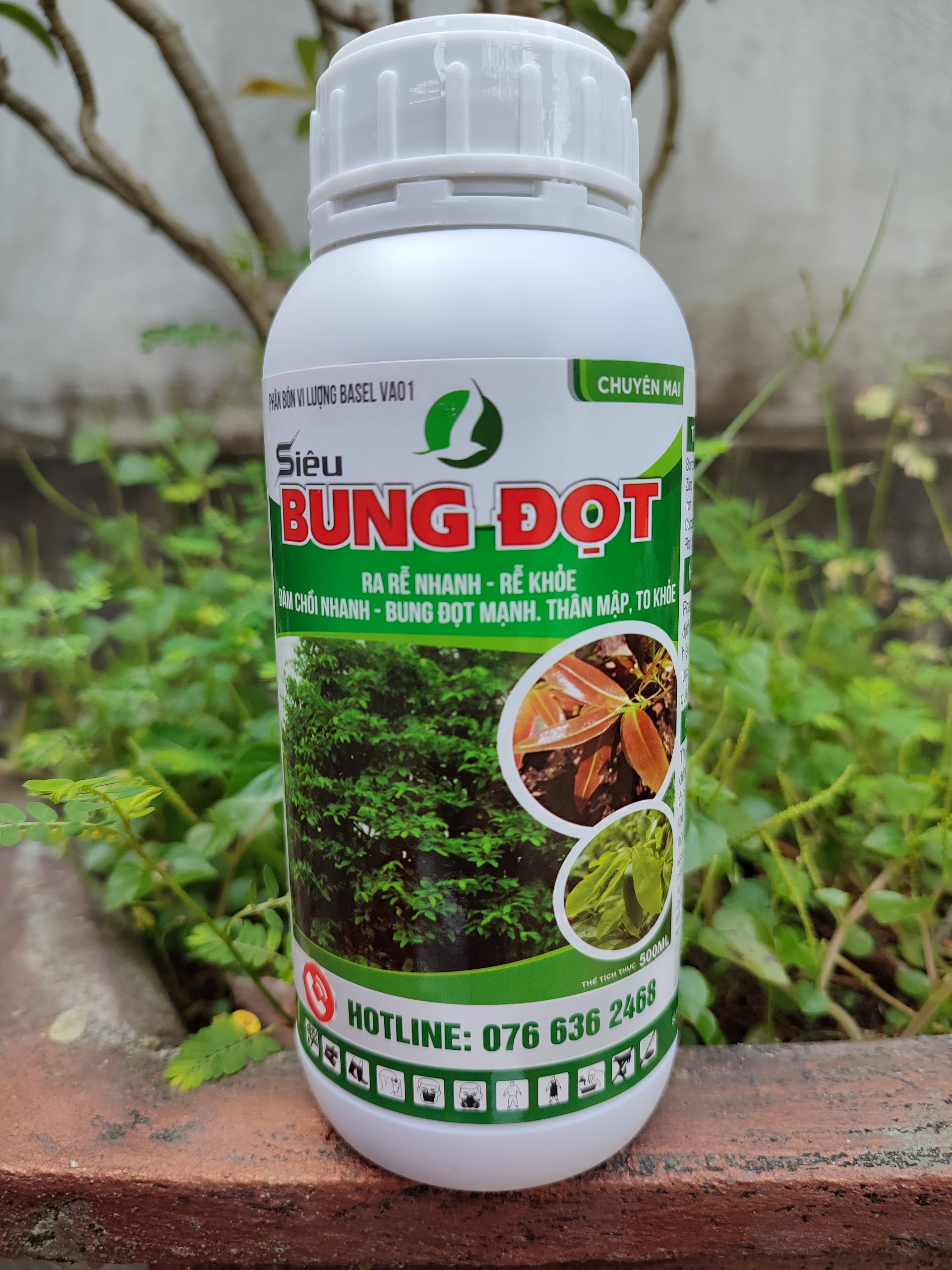 siêu bung đọt chuyên mai (500ml) - đâm chồi, vọt đọt cho cây trồng