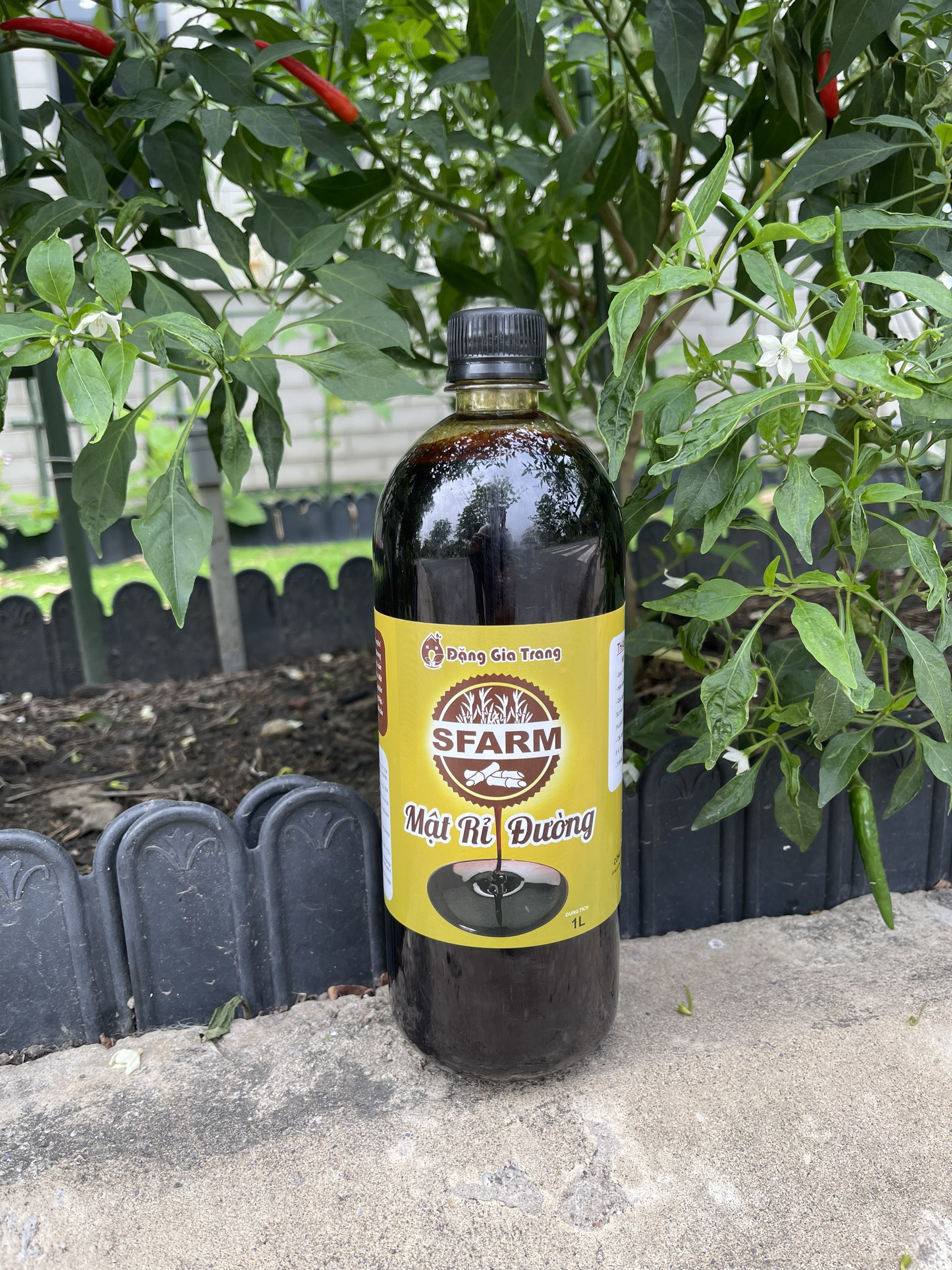 Mật rỉ đường Sfarm chai 1L chuyên dùng nuôi cấy vi sinh trichoderma ủ phân hữu cơ